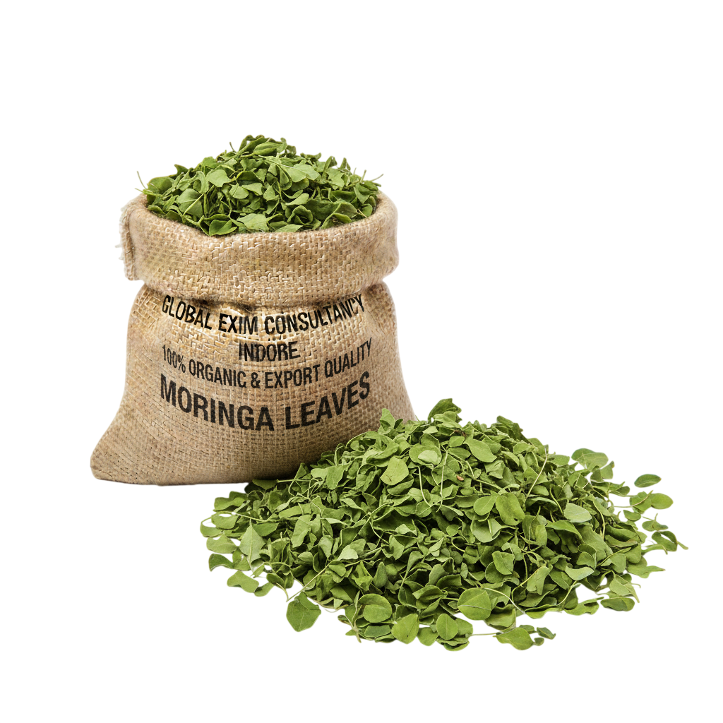 Organic Moringa Leaves